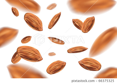 Realistic Falling almond nuts isolated on white background. Template with almonds for packaging design. 3d vector illustration Realistic Falling almond nuts isolated on white background. Template with almonds for packaging design. 3d vector illustration 66375325