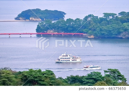 Matsushima Bay and a sightseeing tour boat as seen from Matsuko Park 66375650