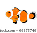 Fish (clown fish) 66375746
