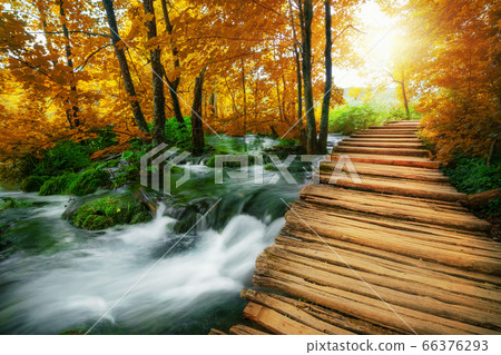 Beautiful wooden path in Plitvice Lake, Croatia. 66376293