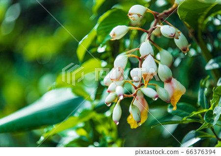 Rainy night Rainy night 66376394