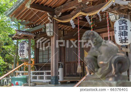 [多田神社]歷史神社|東京中野區 66376401