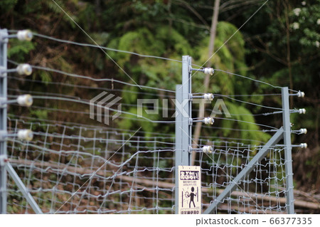 Electric fence Electric fence Electric fence image Electric fence Electric fence Electric fence image 66377335
