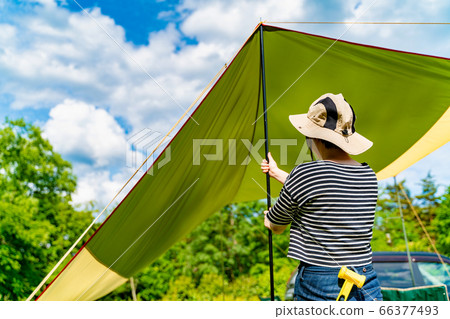 Early summer camp Early summer camp 66377493