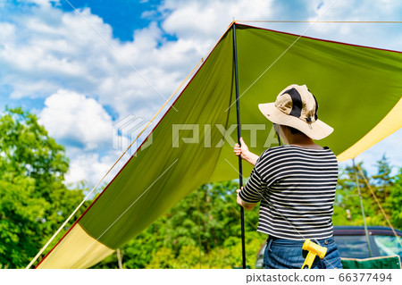 Early summer camp 66377494