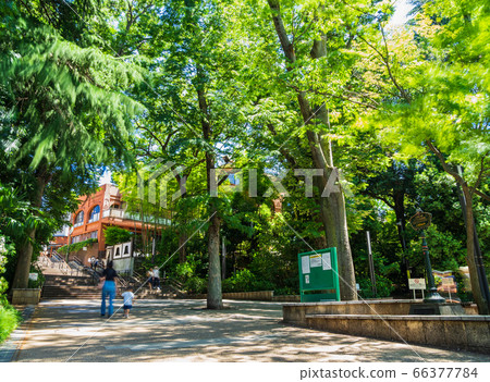 Tokyo Inokashira Park Tokyo Inokashira Park 66377784