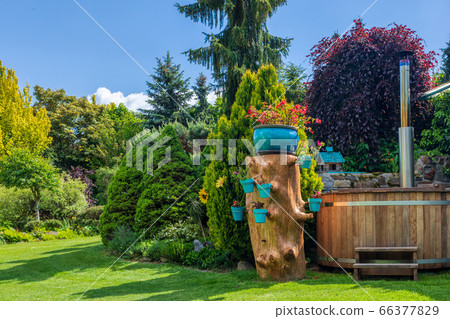 Beautiful summer garden concept 66377829