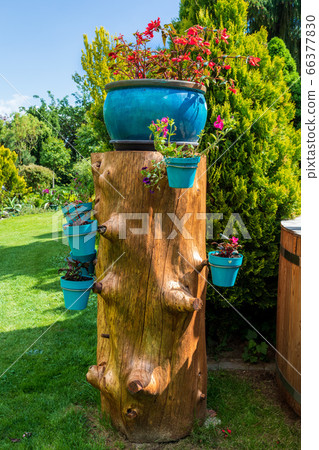 Beautiful summer garden concept Beautiful summer garden concept 66377830