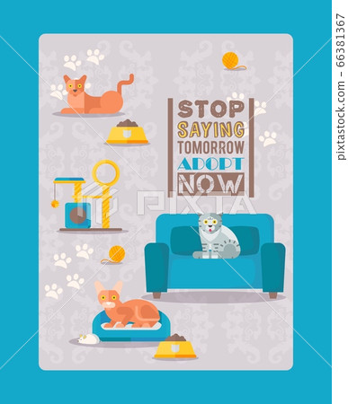 Cats result, stop saying tommorow adopt now vector illustration. Template flyer animal shelter, take strat cat home, pet character 66381367