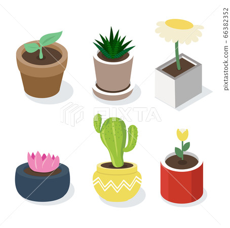 Isometric plant in pot style set Isometric plant in pot style set 66382352