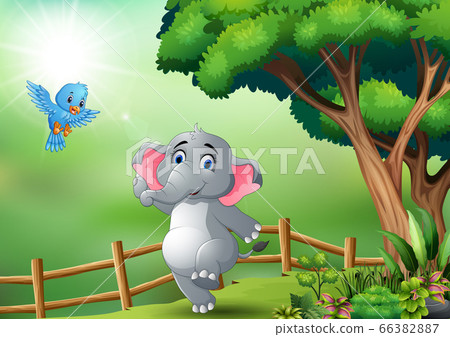 Happy elephant and blue bird in the jungle Happy elephant and blue bird in the jungle 66382887