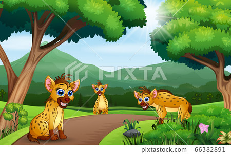 Nature scene with three hyena at the forest Nature scene with three hyena at the forest 66382891
