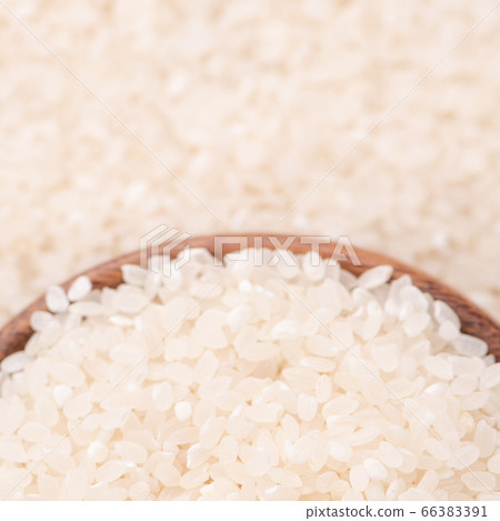 米 原料 生的 白米 頂視圖 raw rice ingredient 白ごはん 米 原料 生的 白米 頂視圖 raw rice ingredient 白ごはん 66383391