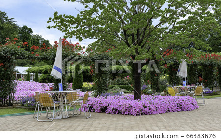 A garden A garden 66383676