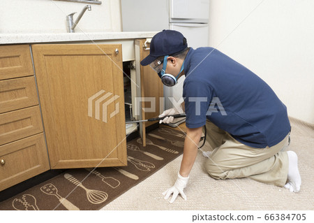 Pest control worker spraying medicine under the sink 66384705