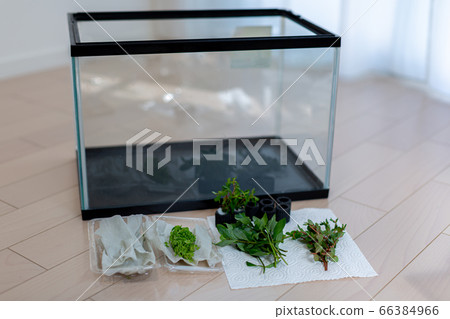 Aquarium aquatic aquarium Aquarium aquatic aquarium 66384966
