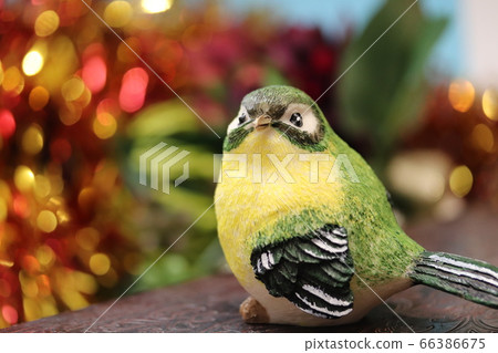 Bird accessories Bird accessories 66386675