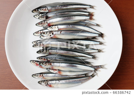 Kibinago頂視圖 Kibinago頂視圖 66386742