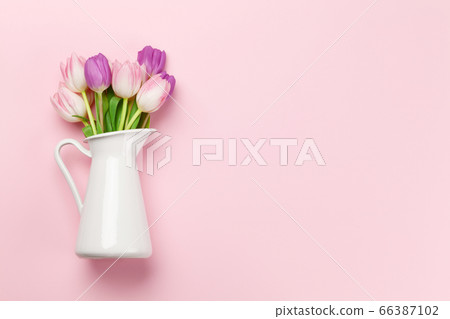 Pink tulips over pink background 66387102
