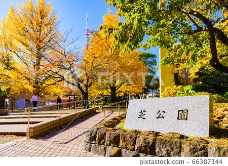 Tourist attractions in Tokyo in autumn: Exterior of Shiba Park [Tokyo] [Photo taken in 2019] 66387344
