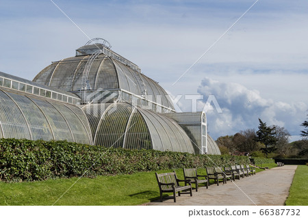 The beautiful Palm House of the Kew Garden The beautiful Palm House of the Kew Garden 66387732