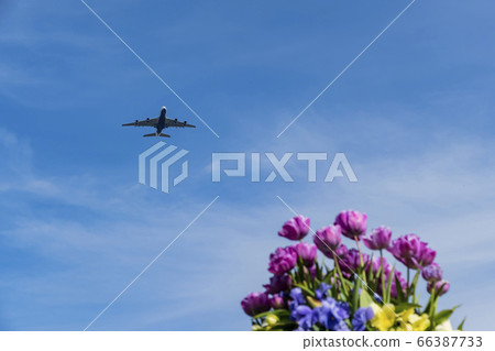 Airplane flying with a beautiful background with Airplane flying with a beautiful background with 66387733