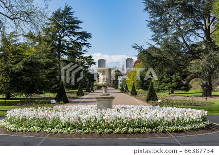 The beautiful natural landscape of the Kew Garden The beautiful natural landscape of the Kew Garden 66387734
