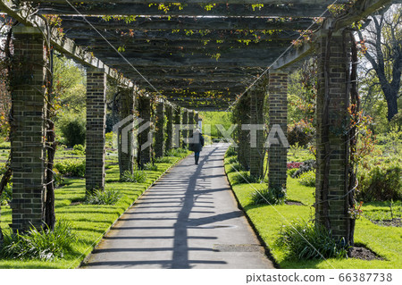The beautiful natural landscape of the Kew Garden The beautiful natural landscape of the Kew Garden 66387738