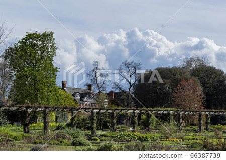 The beautiful natural landscape of the Kew Garden 66387739