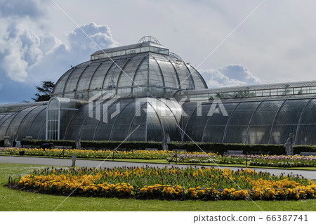 The beautiful Palm House of the Kew Garden The beautiful Palm House of the Kew Garden 66387741
