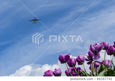 Airplane flying with a beautiful background with Airplane flying with a beautiful background with 66387742