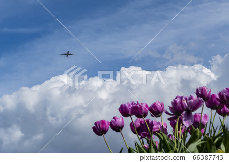 Airplane flying with a beautiful background with 66387743