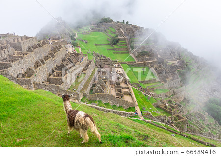 Machu Picchu, a Peruvian Historical Sanctuary and 66389416