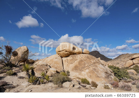 Sunny beautiful landscpe of the Knob Hill Spring 66389725