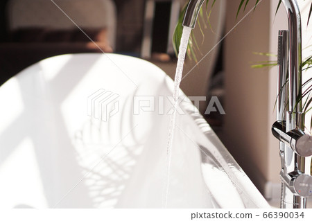 Modern bathroom. White bath with green palm branches Modern bathroom. White bath with green palm branches 66390034