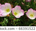 Hill Zakikimisawa / Hachioji 66391522