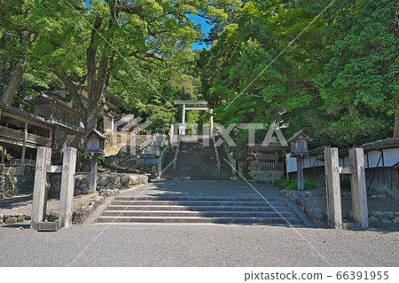 [Tado Taisha Shrine] Tado Town Tado, Kuwana City, Mie Prefecture 66391955