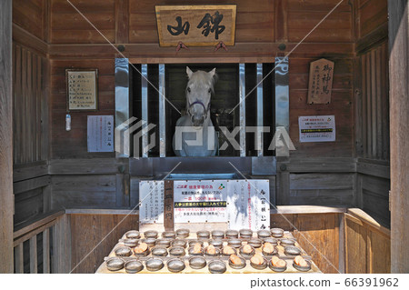 [Tado Taisha Shinbasha] Tado Town Tado, Kuwana City, Mie Prefecture 66391962