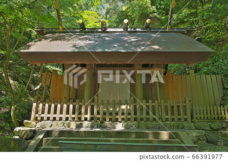 [Tado Taisha Shrine] Tado Town Tado, Kuwana City, Mie Prefecture 66391977