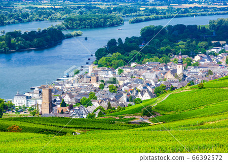 Rudesheim am Rhein Vineyards, Germany 66392572