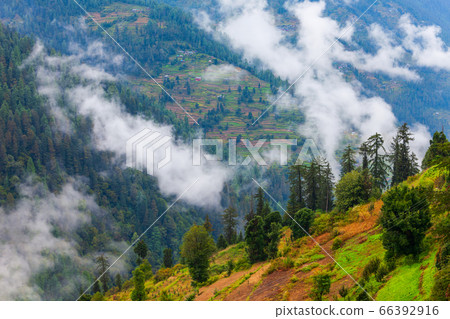 Forested mountain in mist scenic landscape 66392916