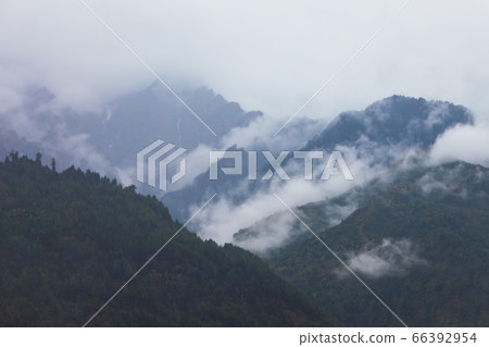 Forested mountains in cloud and mist 66392954