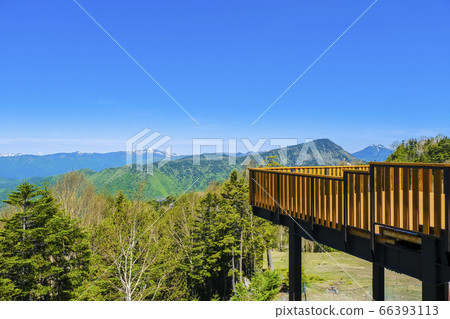 Sky terrace and Oze mountain 66393113