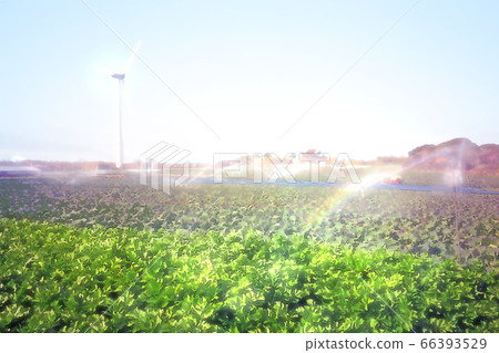 Irago風力發電廠和白菜田[藍天] 66393529
