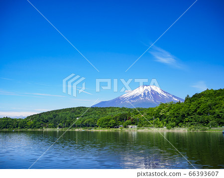 Lake Yamanaka (early summer) Lake Yamanaka (early summer) 66393607