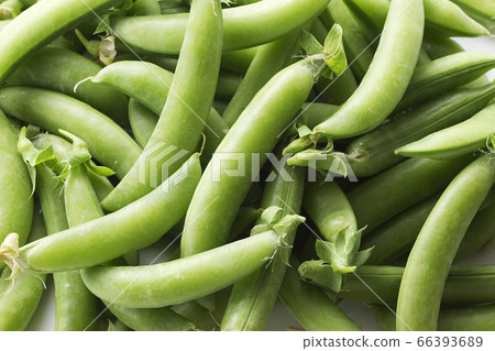 Snap peas 19 Snap peas 19 66393689