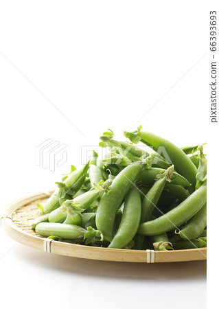 Snap pea 23 Snap pea 23 66393693