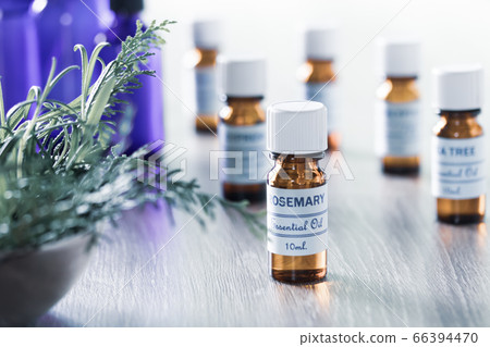 Aromatherapy Essential oil centering on sea drop rosemary 66394470