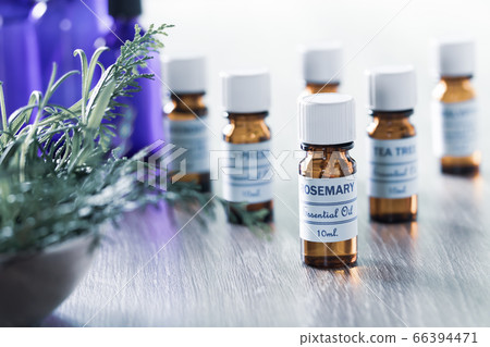 Aromatherapy Essential oil centering on sea drop rosemary 66394471