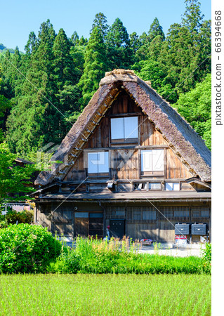 Shirakawa-go in the early summer (morning) 66394668